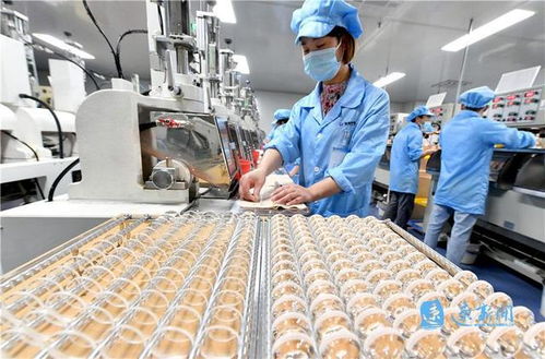 小工廠里的大智慧 高科技技術(shù)開(kāi)發(fā)之路